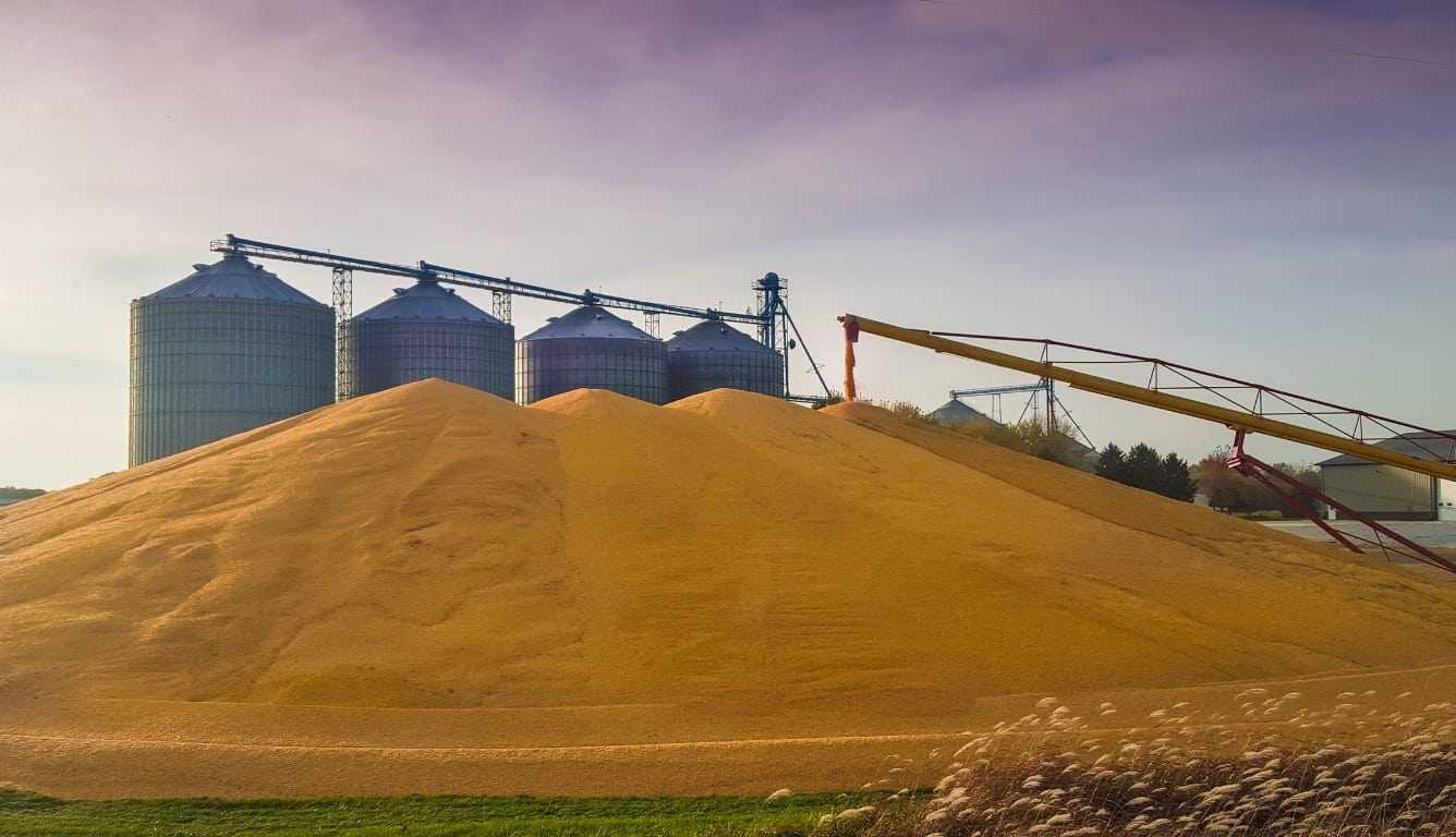 фумігація зерна