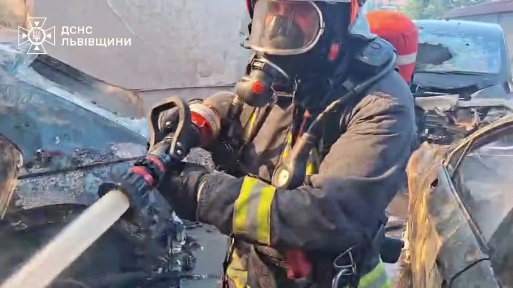 На Львівщині: вогнеборці здобули перемогу над масштабною пожежею (ВІДЕО)