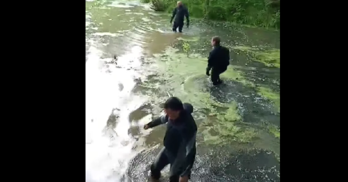 Водолази на Львівщині: Тиждень пошуків зниклої 71-річної жінки.