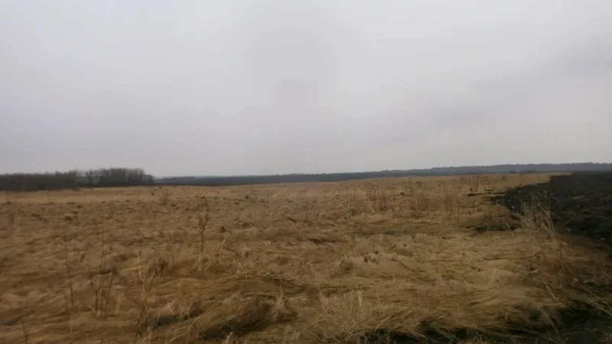<p>Ось кілька варіантів назв, які відповідають вашим вимогам:</p>
<p><strong>Варіант 1 (з акцентом на об’єкт):</strong>
Екс-подружжя купило 0,6 га під кав’ярні біля Львова.</p>
<p><strong>Варіант 2 (з акцентом на інвестицію):</strong>
Власник кав’ярень та колишня дружина інвестують у 0,6 га біля Львова.</p>
<p><strong>Варіант 3 (більш стислий):</strong>
0,6 га біля Львова: кав’ярняр і екс-дружина об’єдналися для покупки.</p>
<p><strong>Варіант 4 (з натяком на майбутнє):</strong>
Земля для кави: власник мережі та колишня дружина купили 0,6 га під Львовом.</p>
<p><strong>Варіант 5 (з фокусом на партнерство):</strong>
Власник кав’ярень та екс-дружина купили 0,6 га землі біля Львова.</p>
<p>Виберіть той, який вам найбільше подобається!</p>